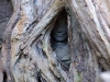 Hidden woman