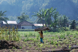 Whatever you do on Bali, get away from Denpasar and the south for a few days I beg