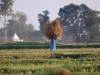Tharu lady