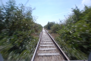 Zooming through the Cambodian countryside aboard the bamboo express