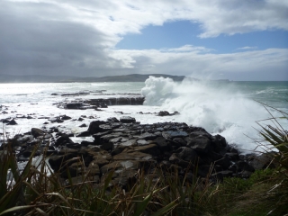 Waves crash into the rocks at Curio Bay, all the way from Antarctica