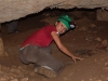 Crawling