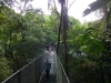 The suspension bridge at Tirimbina, for a canopy-level view