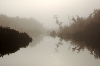 Dawn on the river at Chepu. I must have a hundred photos of this amazing landscape