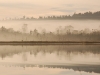 ...in a beautiful landscape
