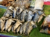 WalkingMarket14