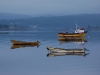 These boats were at Yaldad harbour, mostly used I think for harvesting mussels from huge mussel farms