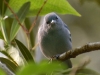 Without a proper bird book it wasn\'t easy to identify all of them - this chap looks a little put out that we didn\'t know his name