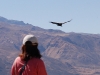 As we watched them, they flew closer and closer to where we stood