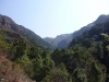 Forested gorge
