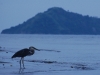 And so farewell to Flores, home to birds and fishes and dragonsssss