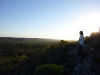 The fynbos, De Hoop reserve