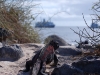 Day 4 and one more island, Espanola where the Marine Iguanas waited for the tourists to come ashore