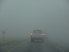 Foggy drive