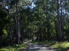 Away from the coast itself there were sun-dappled forests to explore