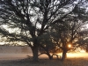 Kgalagadi sunrise