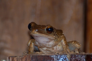 Maureen disturbed this chap while he was showering, he was mortified