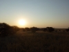 Karoo sunset