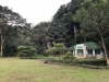 Raja Sikatuna, Bohol