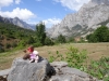 Picos pals