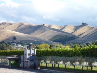 Our favourite wine maker was Lawson's Dry Hills