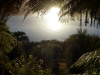 At times we would catch glimpses of the Sound through gaps in the tree ferns