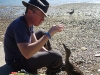 We wait on the beach at journey\'s end. Mr Duck does not approve of Mrs Duck\'s very forward behaviour