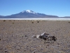 This is a fairly desolate part of the world