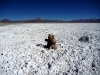 The crusty white salt is almost blinding in the sun
