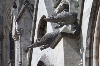 Armadillo gargoyles - how splendid