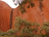 Up close the mighty rock can look rather surreal, like a fiberglass film set