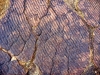 Evidence of the shallow lake where the rocks of Kings Canyon were deposited can be found in these 250 million year old ripples