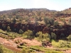 The verdant Palm Valley lay at the end of a particularly tough 4WD road