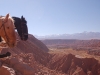 As you can see, the horses have seen the view a hundred times before and were not impressed
