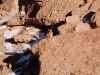 But of course what we loved best were the Viscachas among the rocks