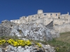 Flowers and castles