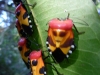 Bugs