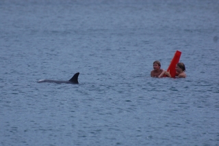 Some kids get to grow up in a place where the water is warm enough to swim all year and they even get dolphins to swim with