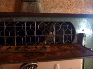Mmm... possum pie. The stove at Perup nature reserve is no longer for cooking with
