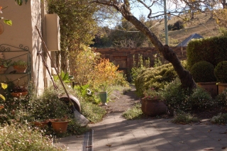 Mellow autumn afternoon at Old Wesleydale house