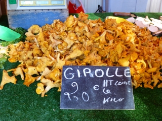 Piles of 'shrooms!