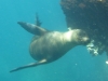 In fact many of them just enjoyed zipping right past us