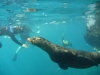 Still, I think Maureen\'s larking kept them more interested than the rest of us who just floated around with cameras