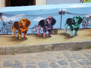 Puppies!
