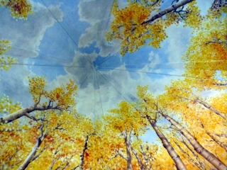 A nice view to wake up to: the ceiling of our room at the Queen Anne B&B
