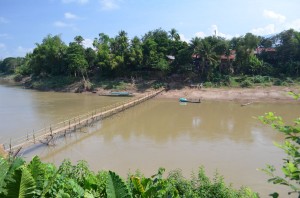 The bamboo bridge, 100% bamboo and string