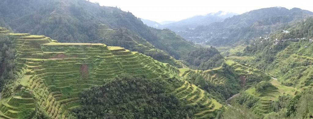 Banaue rice terraces