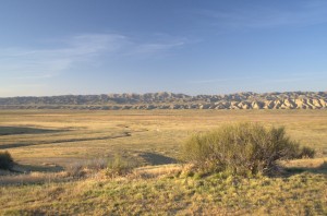 Carrizo Plain