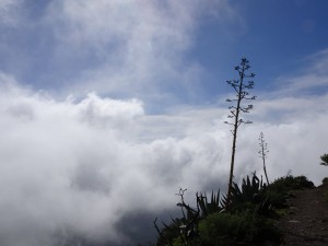 Clouds above and below