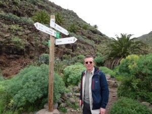 Signposts everywhere